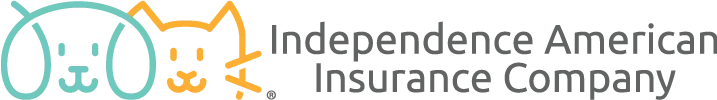 Independence American Insurance Company