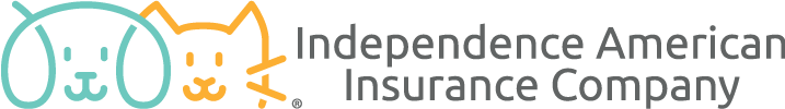 Independence American Insurance Company